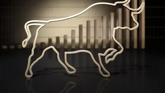 Freshers Hiring Is Rising Across India: What The Trend Shows