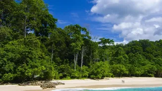 Why The Andaman Islands Stand As India's Top Choice For Exotic Tropical Beach Vacations
