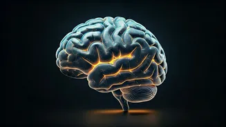 Beyond Memorization: Unlocking Deeper Learning for Your Child's Academic Success