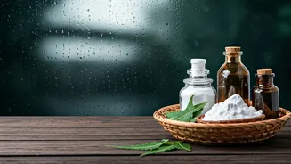 Natural Monsoon Home Care Every Household Should Try