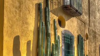 Why August's Heat-Humidity Balcony Test Strengthens The Case For Wind And Rain Exposure