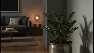 Low-Light Gardening Is Easier Than You Think