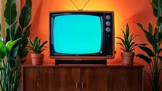 OTT Watchlist Planning: What To Do When Every Platform Has Something New