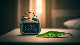 Master Your Mornings: 7 Powerful Affirmations to Own Your Day from 5 AM