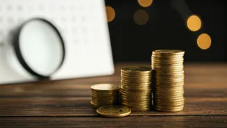 Unpacking the Bharat Coking Coal IPO: An Investor's Guide