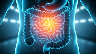 Unlocking Gut Health: Why Constipation Matters in Cancer Patients