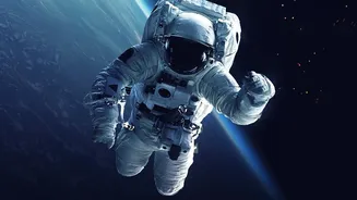 Space Food Innovation Is Driving New Research Into Astronaut Nutrition