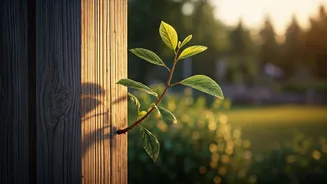 Embracing 'Lazy Parenting': Unlocking Independence and Resilience in Your Child