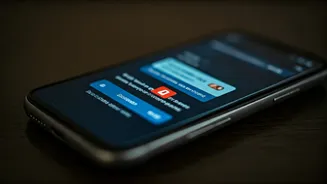 Unmasking the 'Sir Sir Please' Cyber Scam: A Deep Dive