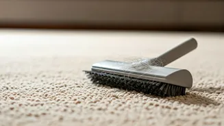 Effortless Pet Hair Removal: 6 Pro Tips for Pristine Carpets