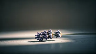 Short Calm Rituals Are Beating Long Wellness Plans