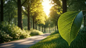 Delhi’s Nature Walks Are For People Tired Of Malls