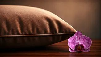 Related Stories banner