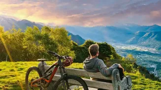 Why Ten Minutes In Outdoor Morning Light Outperforms Sleep Supplements For Quality Rest
