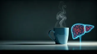 14 Days of Coffee: A Harvard Doctor Reveals Daily Brew's Surprising Health Perks