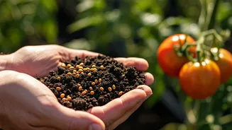 Gardening Goes Back To Roots
