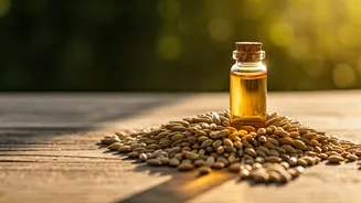 Unlocking Grain Power: Barley vs. Rye for Your Health