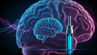 Nasal Spray Breakthrough: Reversing Brain Inflammation and Boosting Memory!
