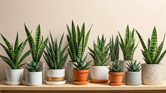 10 Snake Plants: Cultivate Beauty Indoors