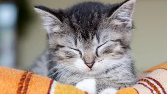 Sleep In The Monsoon: Practical Ways To Handle Humid Nights