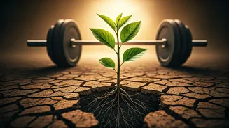 Jelly Roll's 90kg Transformation: A Journey Beyond Weight Loss Drugs