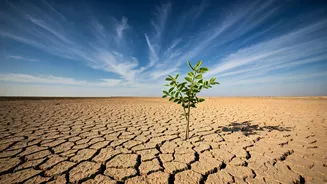 The Rainfall Forecast With Real-World Impact