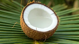 Coconut's Comeback: Boosting India's Sector in Budget 2026