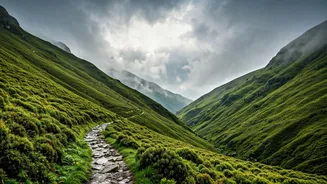 Western Ghats Misty Mountain Trails Offer Ultimate Adventure Experience Monsoon