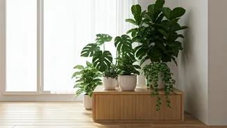 Greenery Is The Simplest Home Upgrade Trend
