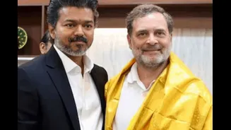 Congress Warns Of Cabinet Exit If Vijay's TVK Rejects Rahul Gandhi As 2029 PM Face