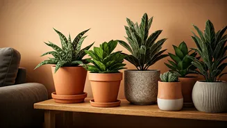 DIY Plant Decor Makes Rooms Feel Warmer