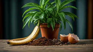 Nourish Your Green Friends: 5 Natural Ways to Fertilize Indoor Plants