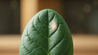Why Young Indian Vegetarians Feel Tired: The B12 Crisis