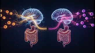 Glucose And Fructose Gut-Brain Research Offers A Practical Route Towards More Accurate Sugar Headlines