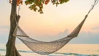 How to organize a romantic autumn beach getaway to Havelock and Neil Islands today