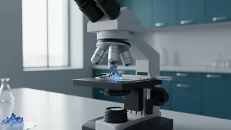 Astra's Ten Results Raise New Questions About AI's Place in Research