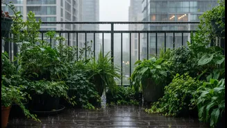Before Acting, Urban Renters and Home Gardeners Should Understand the Limits around Monsoon Balcony Micro-Gardens