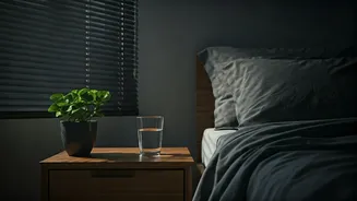 Why Fitness Influencers Rave About Consistent Sleep Recovery