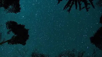 Dark-Sky Travel Is Becoming The Hottest Holiday Trend