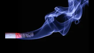 Understanding Environmental Factors in Lung Cancer Risk