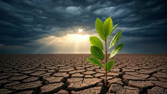 Navigating the Storm: A Parent's Guide to Helping Teens Handle Rejection and Disappointment