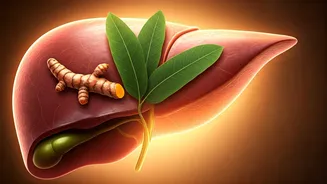 Nourishing Your Liver: How Ancient Herbs Can Aid Early Damage Reversal