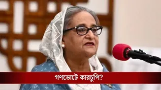 Sheikh Hasina on Bangladesh Election Results: প্রতি ৫ সেকেন্ডে একটা ভোট! বাংলাদেশ নির্বাচনকে ‘পরিকল্পিত প্রতারণা’ বললেন হাসিনা