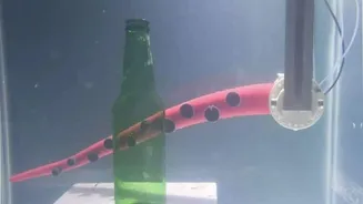 Scientists build octopus-inspired robot arm that can detect touch, force and direction| Watch