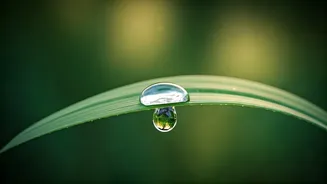 Mindfulness: Cultivating Love and Clarity for a Meaningful Life