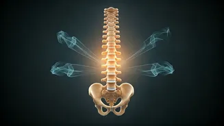 Your Late 20s Habits: Unseen Culprits Behind Future Back Pain