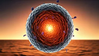 Sun's Silent Threat: Heat's Impact on Aging in the US