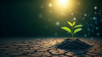 Climate Literacy Is The Next Big Trend