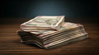 Kartik Aaryan's Pay Cut: Analyzing the Box Office Impact