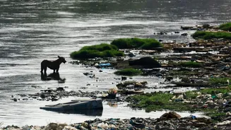 Karachi thirsts for water: Is there an Indus Waters Treaty link?